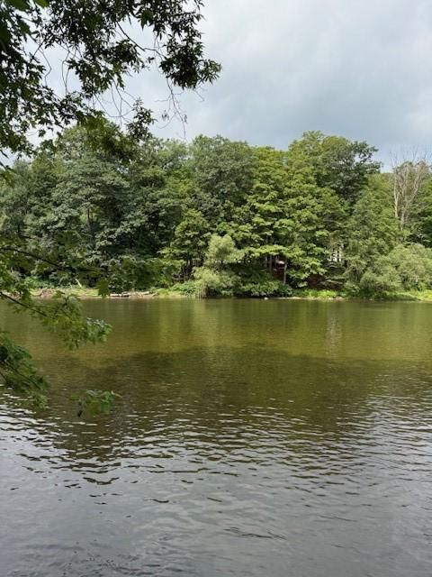 1234 Airport Rd, Sanford, NY 13754 - photo 2