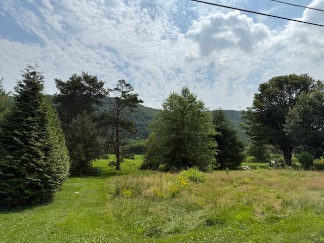 1234 Airport Rd, Sanford, NY 13754 - photo 4