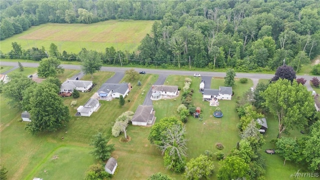 5173 Mapleton Rd, Pendleton, NY 14094 - photo 43
