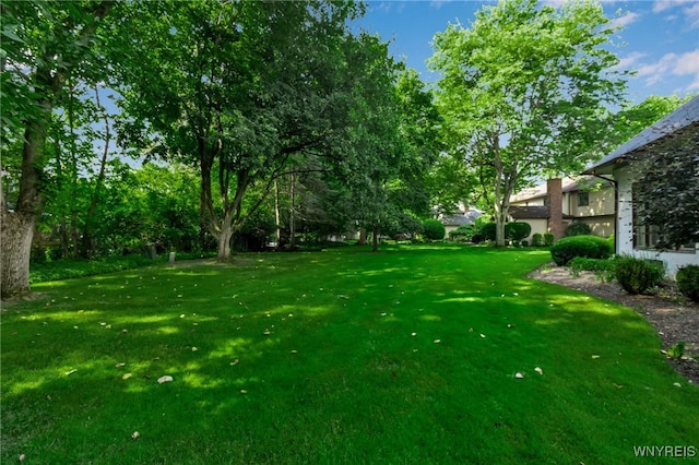 88 Crestwood Ln, Amherst, NY 14221 - photo 47