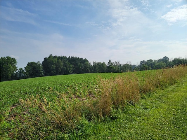 2935 State Route 89, Savannah, NY 13146 - photo 30