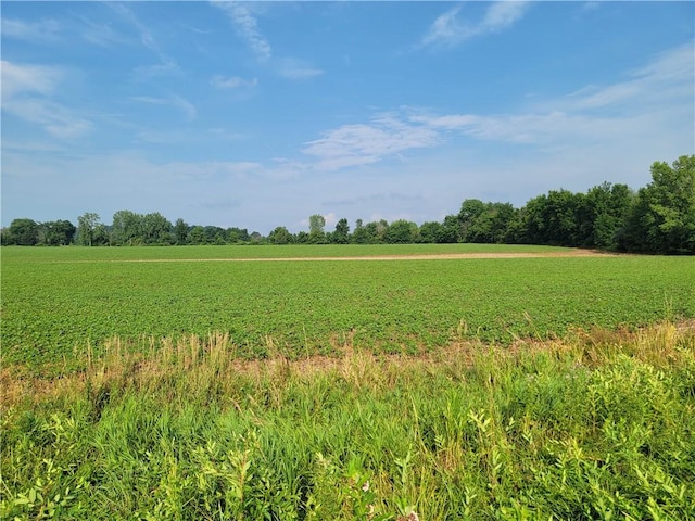 2935 State Route 89, Savannah, NY 13146 - photo 31