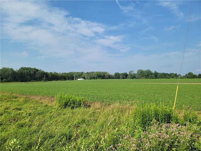 2935 State Route 89, Savannah, NY 13146 - photo 32