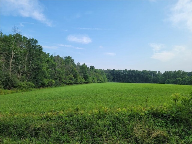 2935 State Route 89, Savannah, NY 13146 - photo 34