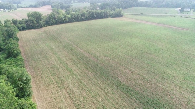 2935 State Route 89, Savannah, NY 13146 - photo 36