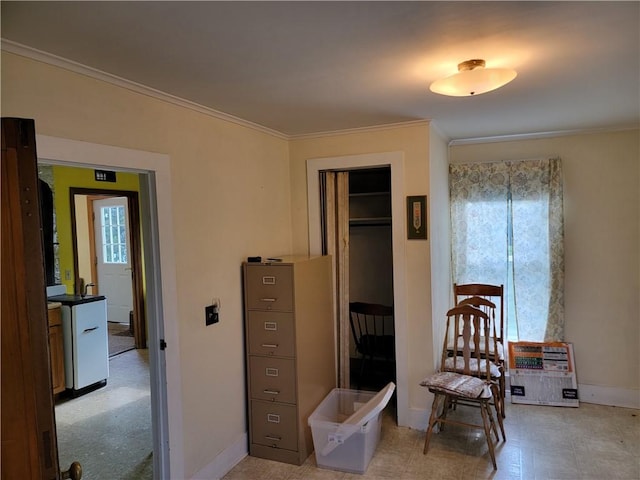 2935 State Route 89, Savannah, NY 13146 - photo 6