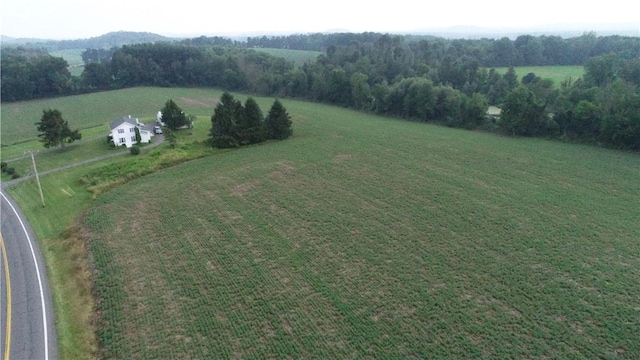 2935 State Route 89, Savannah, NY 13146 - photo 37
