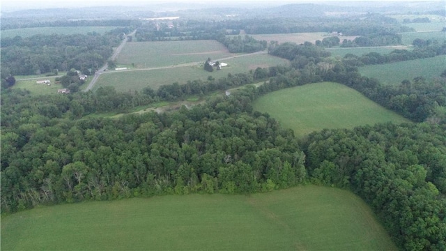 2935 State Route 89, Savannah, NY 13146 - photo 38