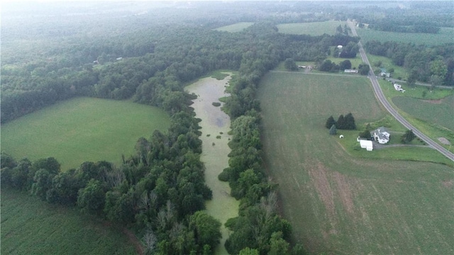 2935 State Route 89, Savannah, NY 13146 - photo 39