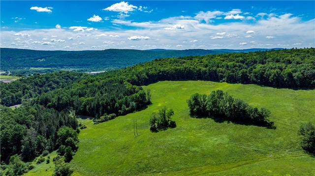 Lower Ravine Rd, Norwich, NY 13815 - photo 3