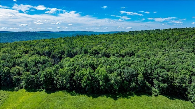 Lower Ravine Rd, Norwich, NY 13815 - photo 9