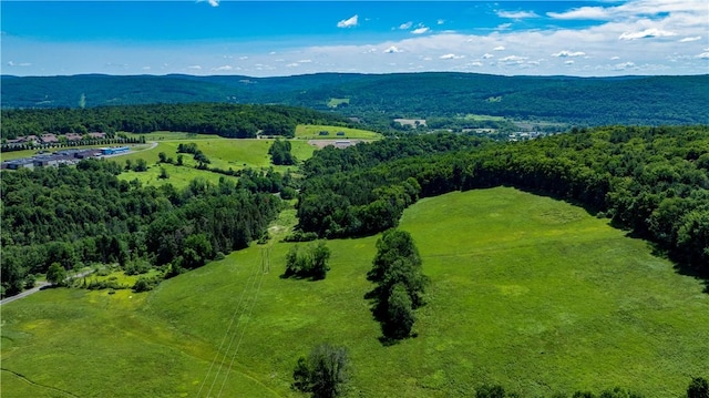 Lower Ravine Rd, Norwich, NY 13815 - photo 18