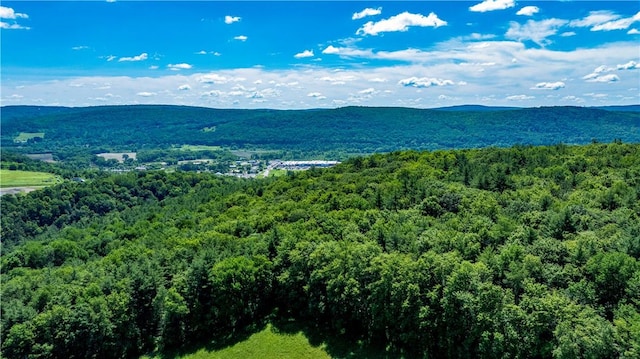 Lower Ravine Rd, Norwich, NY 13815 - photo 10