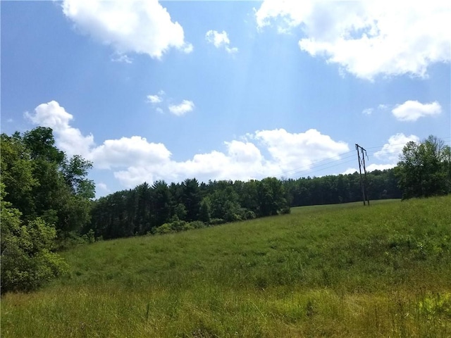 Lower Ravine Rd, Norwich, NY 13815 - photo 6