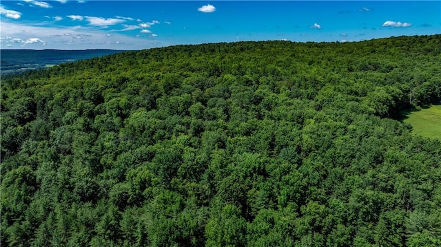 Lower Ravine Rd, Norwich, NY 13815 - photo 2