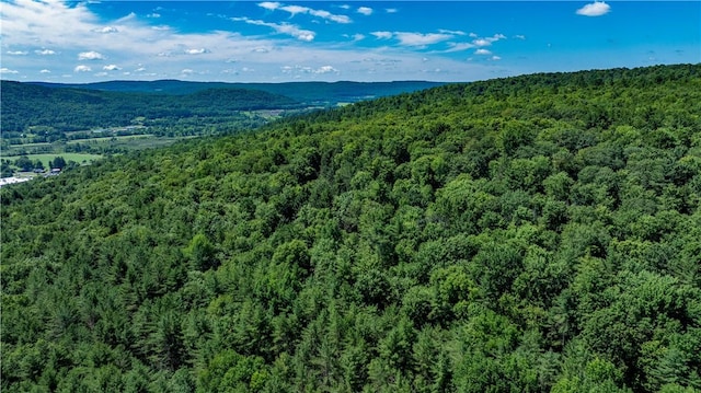 Lower Ravine Rd, Norwich, NY 13815 - photo 12