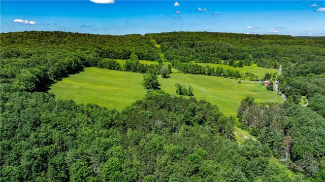 Lower Ravine Rd, Norwich, NY 13815 - photo 15