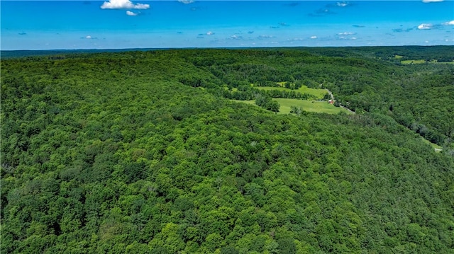 Lower Ravine Rd, Norwich, NY 13815 - photo 13