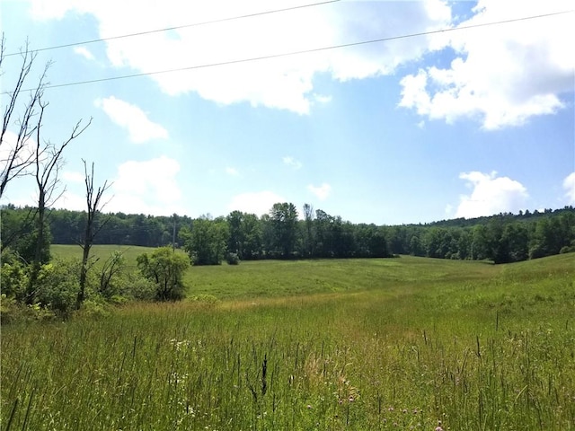 Lower Ravine Rd, Norwich, NY 13815 - photo 21