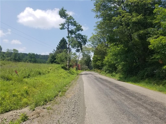 Lower Ravine Rd, Norwich, NY 13815 - photo 22