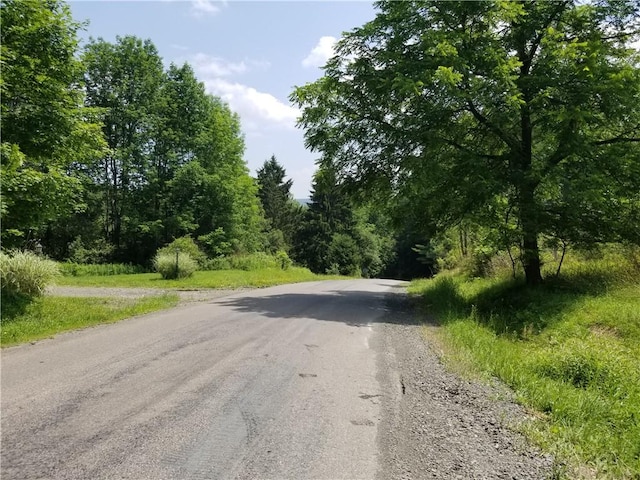 Lower Ravine Rd, Norwich, NY 13815 - photo 23