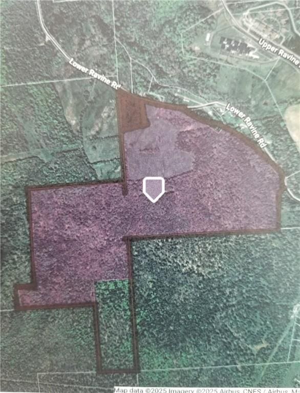 Lower Ravine Rd, Norwich, NY 13815 - photo 4
