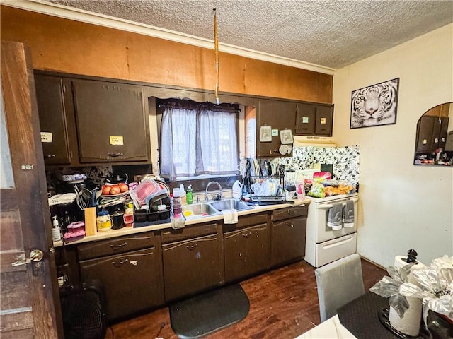 1016 N Goodman St, Rochester, NY 14609 - photo 5