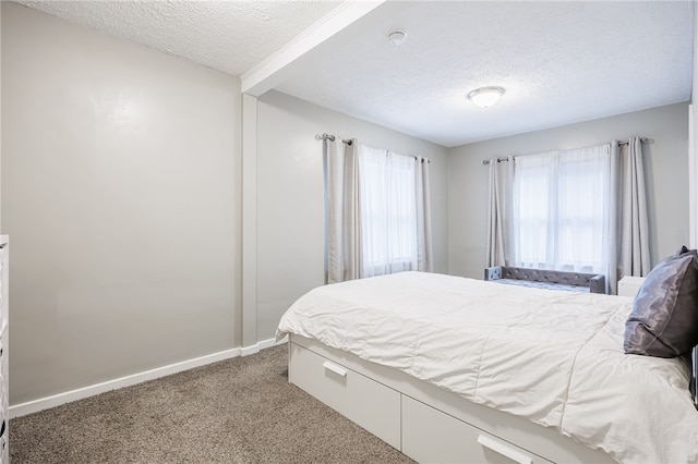55 Curtice Park, Webster, NY 14580 - photo 12