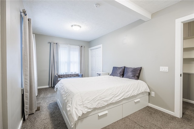 55 Curtice Park, Webster, NY 14580 - photo 13