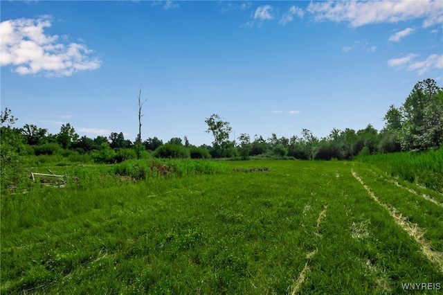 7495 Transit Rd, Clarence, NY 14051 - photo 43