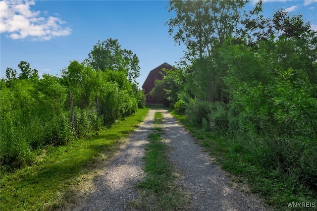 7495 Transit Rd, Clarence, NY 14051 - photo 31