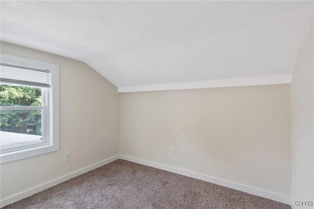 120 Fergerson Ave, Clay, NY 13212 - photo 25