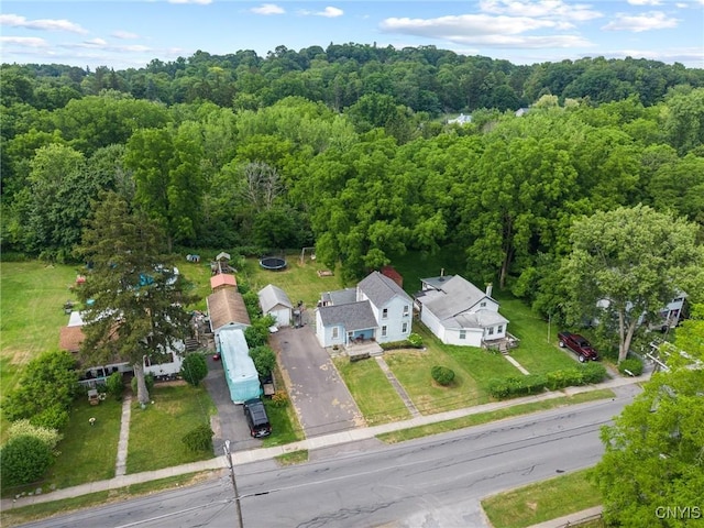 55 Chapman Ave, Auburn, NY 13021 - photo 27
