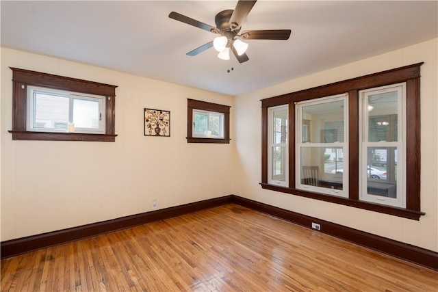 287 Curlew St, Rochester, NY 14613 - photo 8
