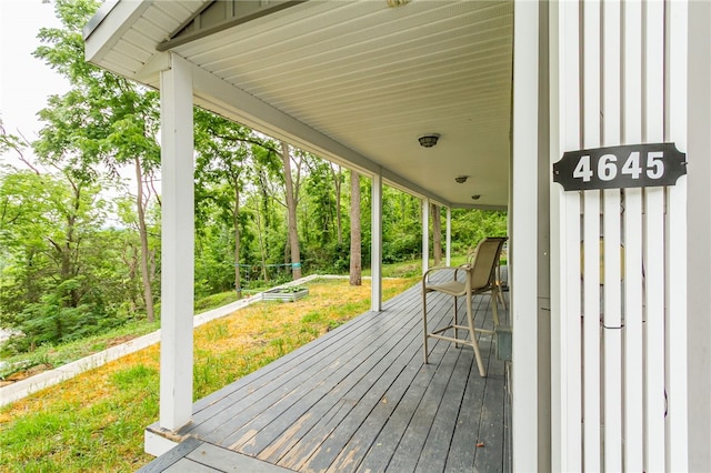4645 Allens Hill Rd, Richmond, NY 14471 - photo 29