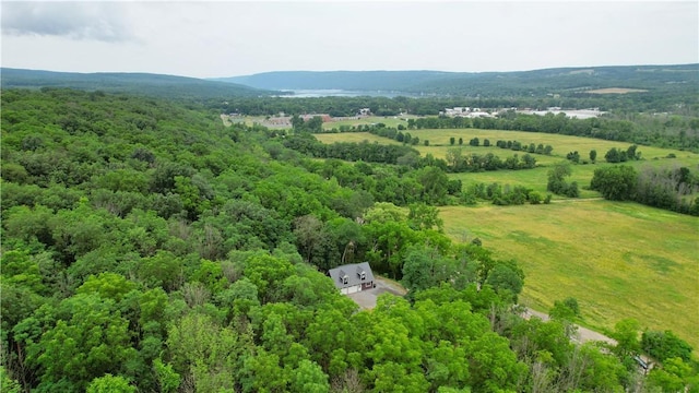 4645 Allens Hill Rd, Richmond, NY 14471 - photo 36