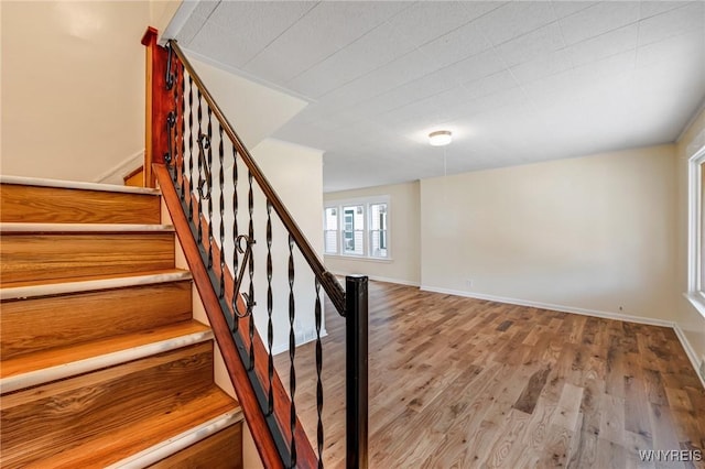 79 Andover Ave, Buffalo, NY 14215 - photo 11