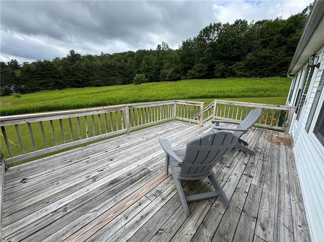 3201 Launt Hollow Rd, Hamden, NY 13782 - photo 32