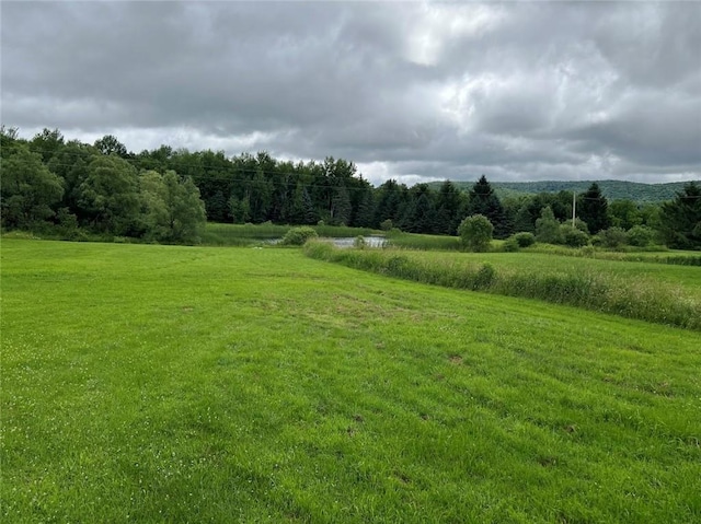 1111 Huska Rd, Delhi, NY 13752 - photo 38