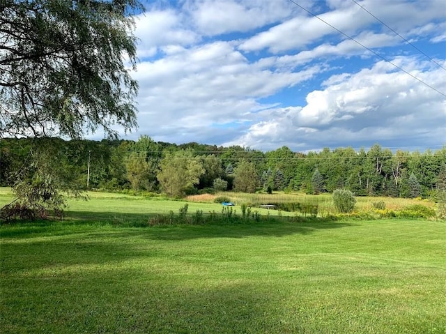 1111 Huska Rd, Delhi, NY 13752 - photo 40