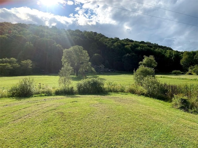 1111 Huska Rd, Delhi, NY 13752 - photo 43