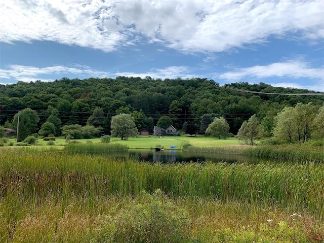 1111 Huska Rd, Delhi, NY 13752 - photo 44