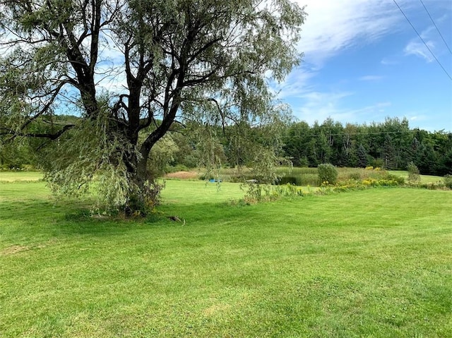1111 Huska Rd, Delhi, NY 13752 - photo 49