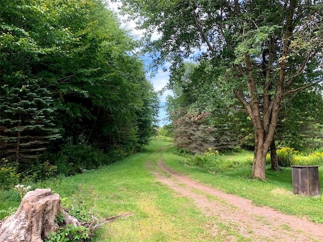 1111 Huska Rd, Delhi, NY 13752 - photo 50