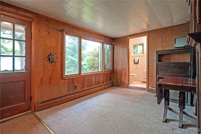 718 Beach Ave, Evans, NY 14006 - photo 21