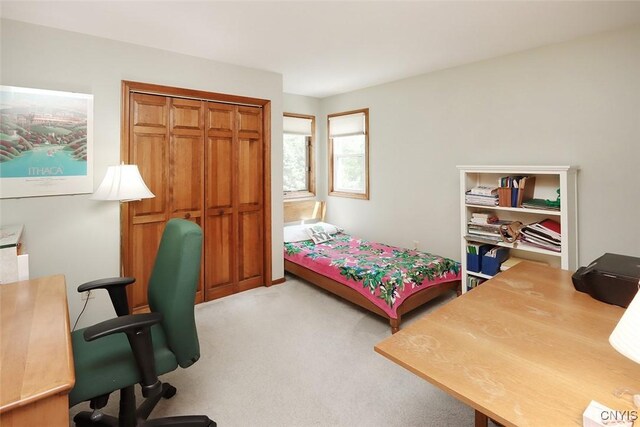 4644 Bloomsbury Dr, Onondaga, NY 13215 - photo 41