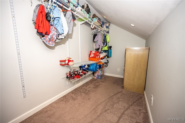 206 Aurora St, Lancaster, NY 14086 - photo 27