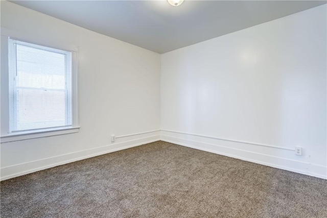 1317 N St, Rochester, NY 14621 - photo 16
