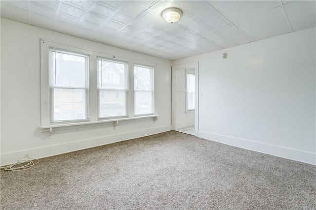 1317 N St, Rochester, NY 14621 - photo 29