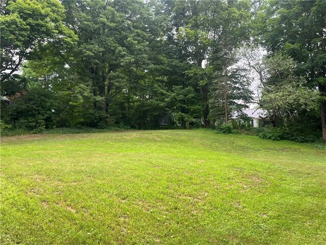 3686 State Route 206, Triangle, NY 13778 - photo 10